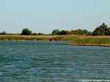 Parco della Camargue Immagine 092